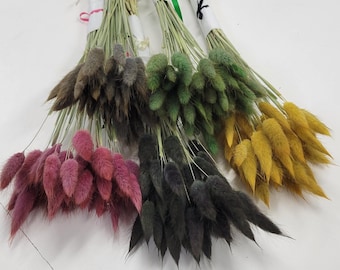 Dried Bunny Tail Bundles: Dried Bouquets, Craft Supply, Decoration