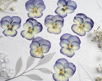 EDIBLE Viola flowers: decorate cakes, cookies, cocktail garnish, 20 pcs