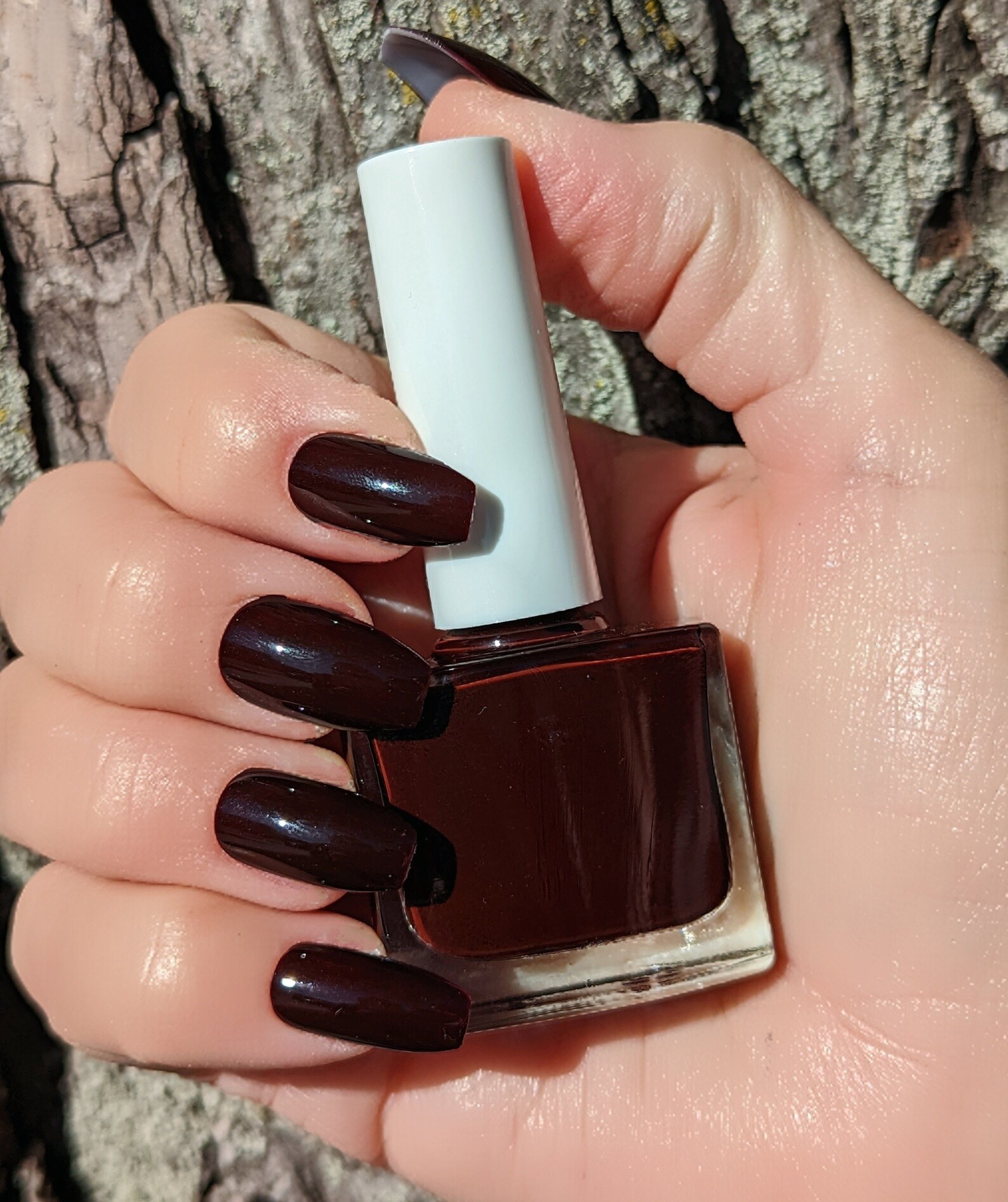 Burrcandy Black Cherry Nail Polish Dark Brown Nail Polish Etsy