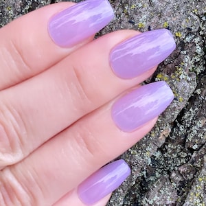 K&ouml;nnte beinhalten: Nahaufnahme einer Hand mit langen, helllila N&auml;geln. Die N&auml;gel sind mit einem gl&auml;nzenden, durchscheinenden Lavendellack lackiert.