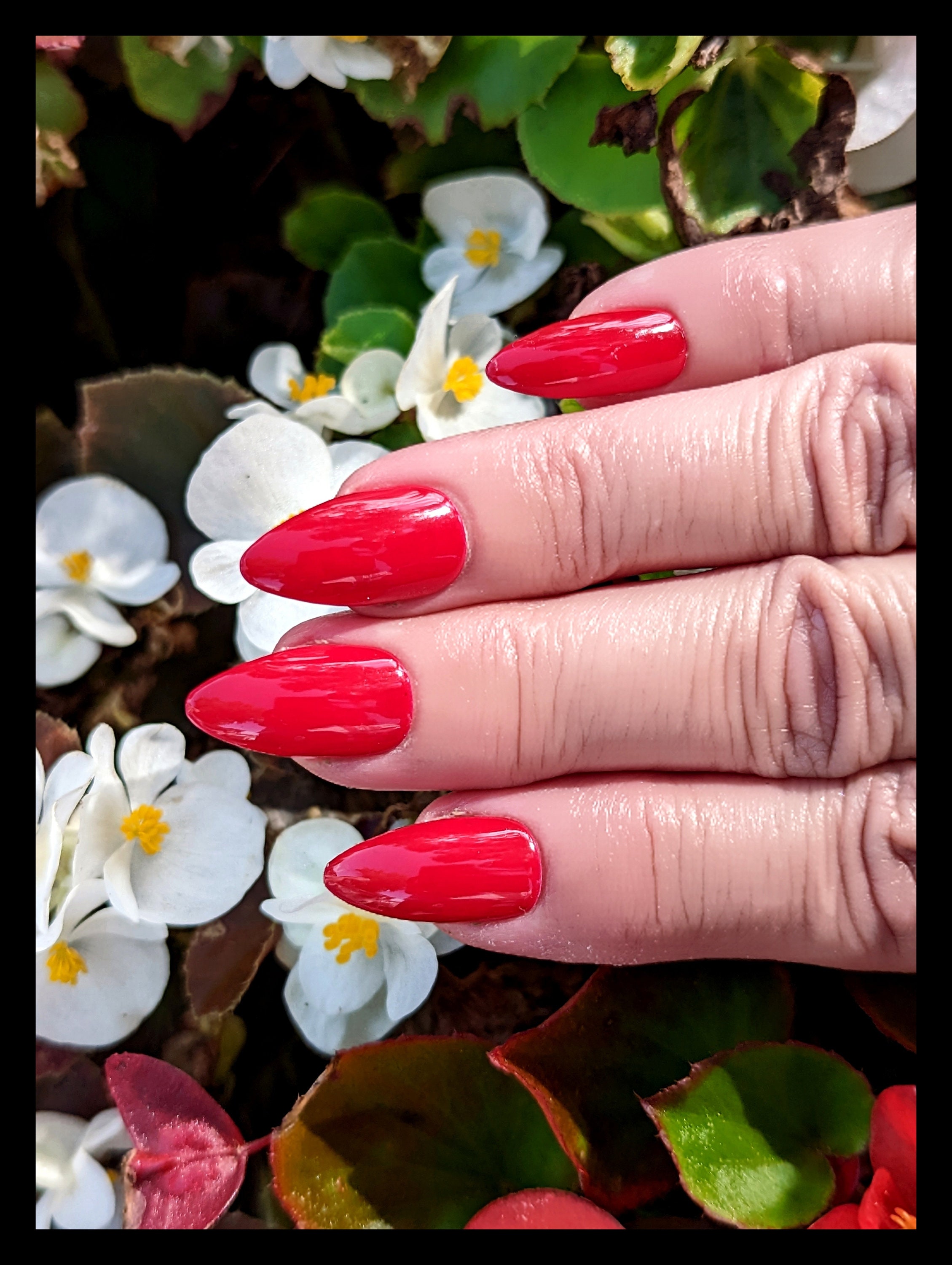 Red Nail Polish True Red Nail Polish Holiday Red : Really - Etsy