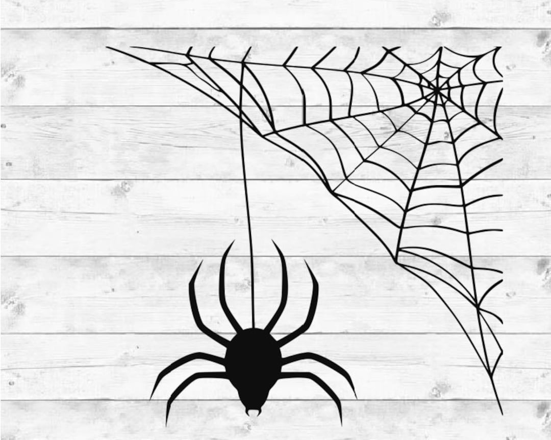 Spider svg spider web svg insect svg cobweb svg halloween Etsy 日本