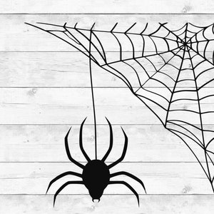 Spider svg, spider web svg, insect svg, cobweb svg, halloween svg, clipart, silhouette, decal, stencil, cut file, cricut silhouette file
