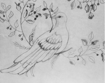 Peace Dove Bird With Plant Greenery Vines In Mouth Illustration Printable Digital Download PDF Drawing Art Print Artwork Decoration Display
