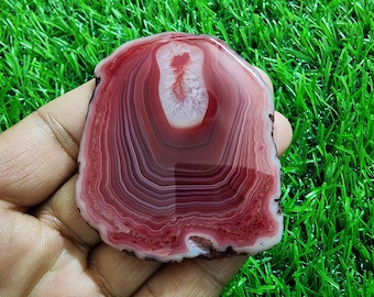 May include: A polished agate slice featuring concentric bands of deep red, maroon, and white colors. The center of the stone displays a textured, crystalline white cavity surrounded by smooth, layered mineral rings in varying shades of red.