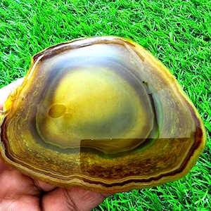 May include: A polished, translucent agate slice featuring concentric bands of yellow, amber, and deep brown hues. The stone has a smooth, glossy surface with a distinct circular pattern radiating from a lighter, golden-yellow center outward.