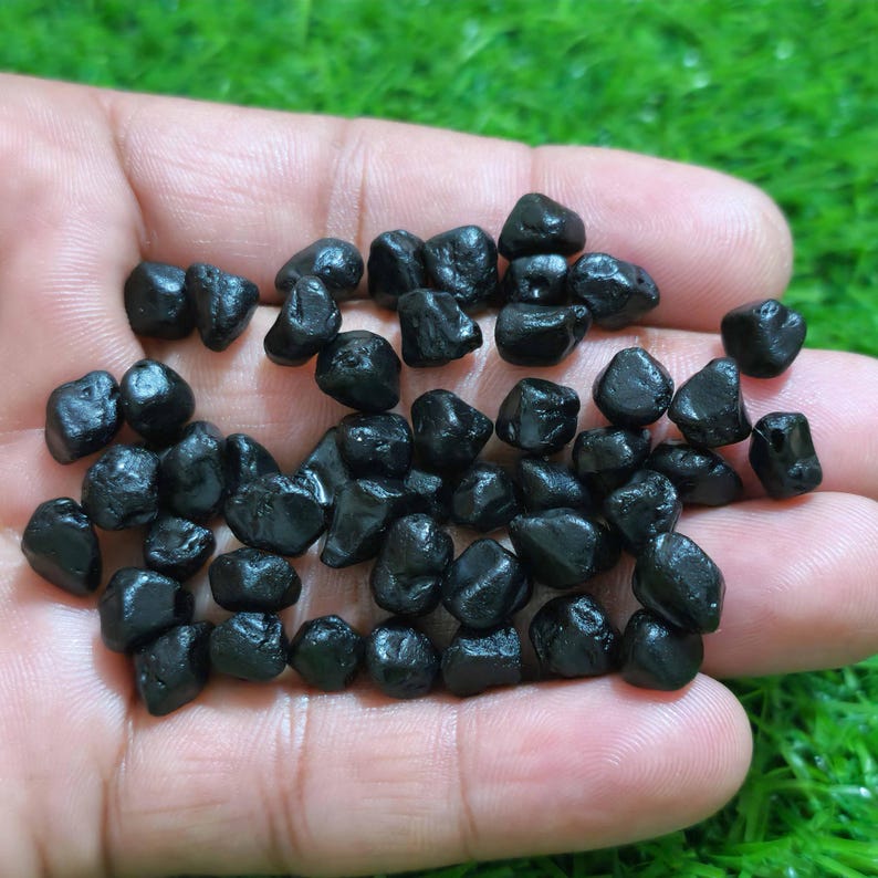 50 Pieces Ultimate Rare Black Spinal Raw 810 MM, Natural Black Spinal