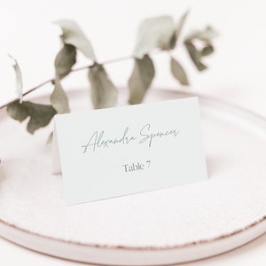 Sage Green Wedding Place Cards Template, Modern Place Card, Editable Template, Minimalist Place Cards, Printable Wedding Place Card, STELLA
