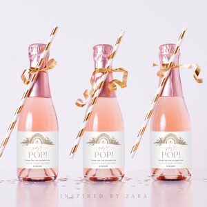 Boho Rainbow Mini Champagne Label, Editable Champagne Label Template, Fall Mini Champagne Labels, Pumpkin Drinks Label Printable