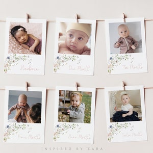Wildflower 1st Birthday Photo Banner, Monthly Milestone Photo, Wildflower Birthday Photos, Girl 1st Birthday, Baby&#39;s First Year Photos