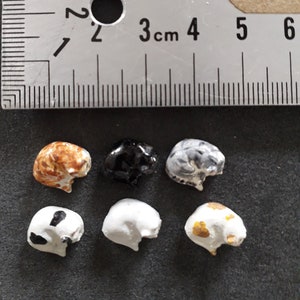 1/24 ハーフスケール カールした猫