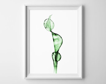 Abstract green printable wall art Minimalist print Modern graphic Line art print Drawn flower nature poster Digital print instant download