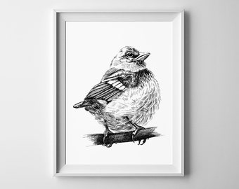 Bird sketch Printable wall art Black and white Bird print Ink drawn sparrow graphic poster Animal sketches poster Digital print