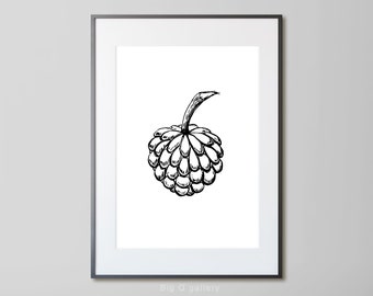 Tropical fruit printable wall art Botanical sketch Sugar apple Black and white Annona drawing Digital print instant download