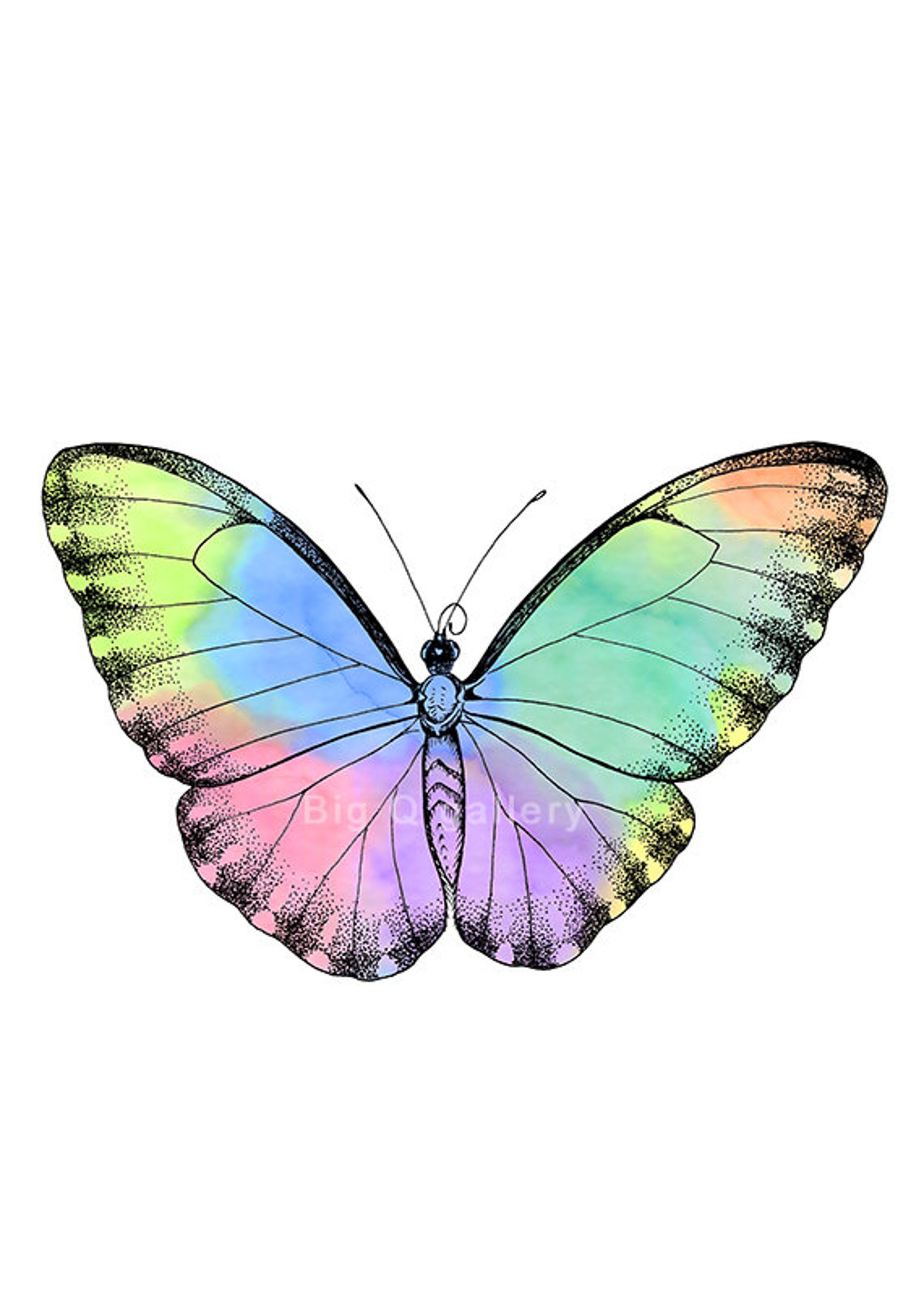 Butterfly Printable Wall Art Watercolor Butterfly Print Drawn Insect ...
