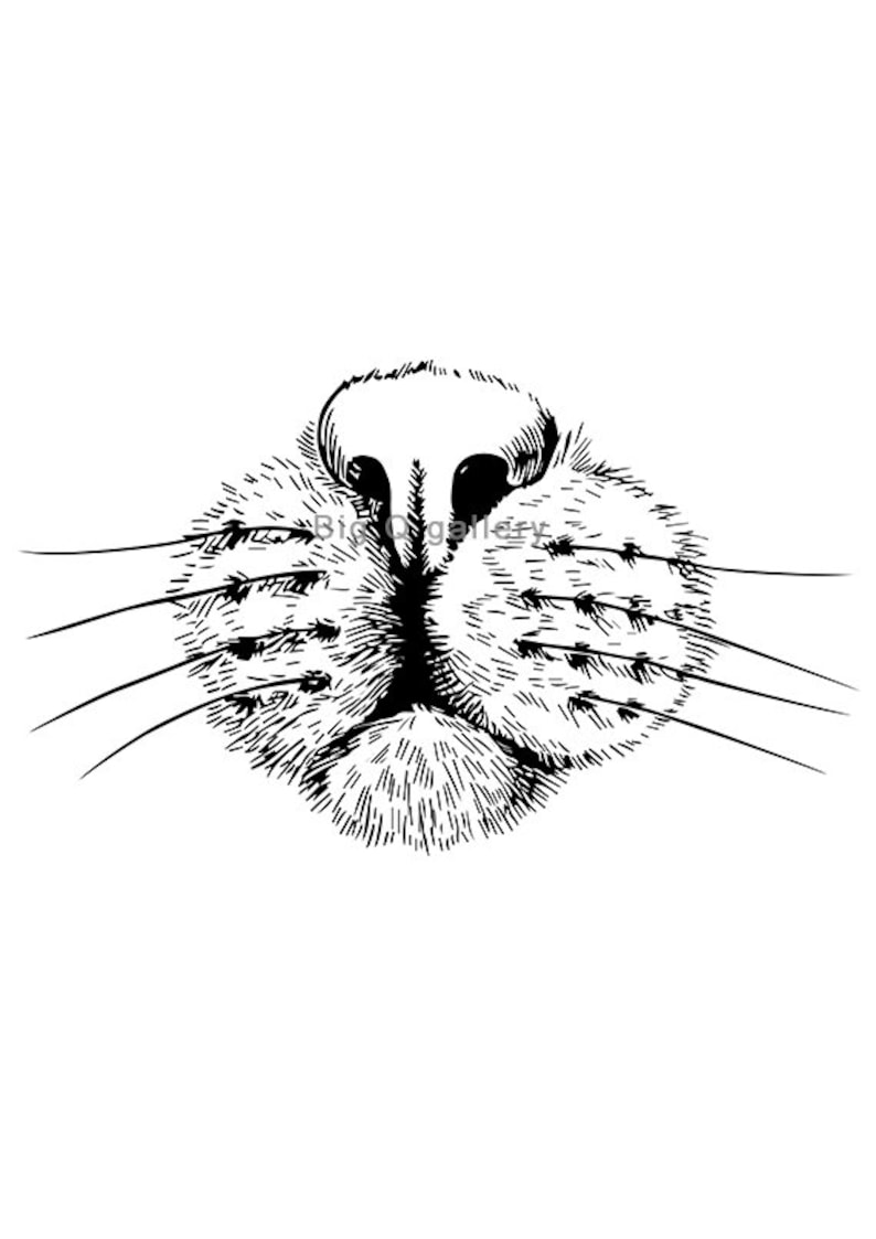 Cat nose Printable wall art Black and white cat sketch print | Etsy