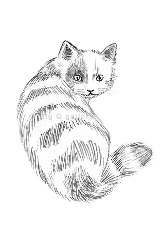 Cat Pencil Sketch Stock Illustrations – 6,149 Cat Pencil Sketch Stock  Illustrations, Vectors & Clipart - Dreamstime