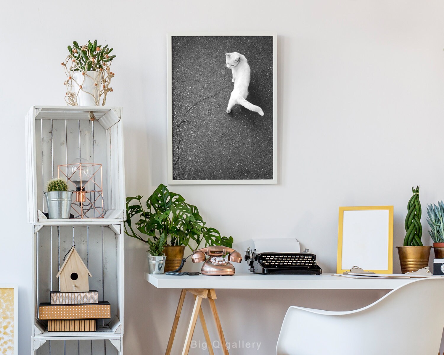 White Cat Printable Wall Art Photography Black and White Poster Cat ...