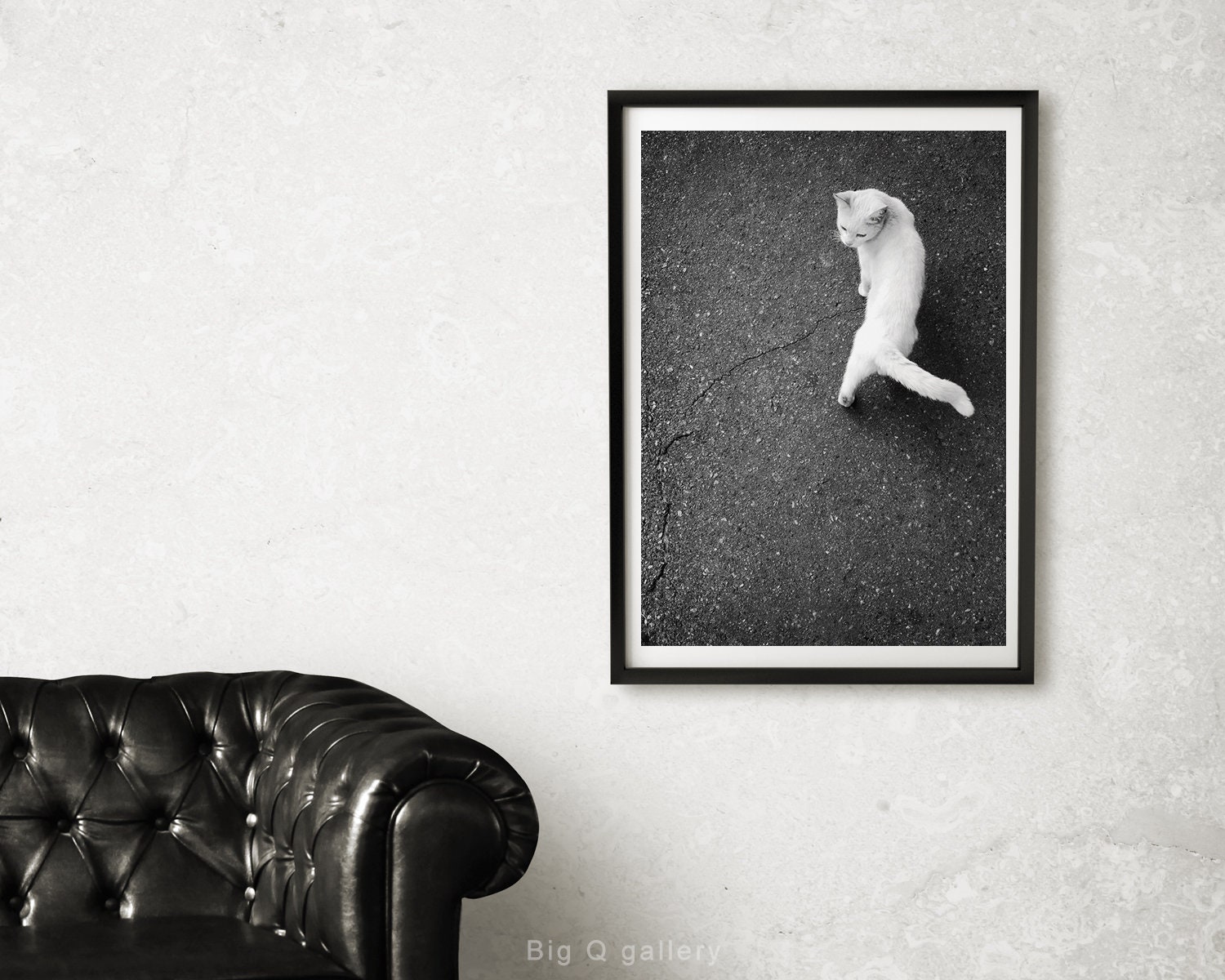 White Cat Printable Wall Art Photography Black and White Poster Cat ...