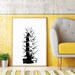 Cactus Printable Wall Art Black and White Print Graphic Art - Etsy