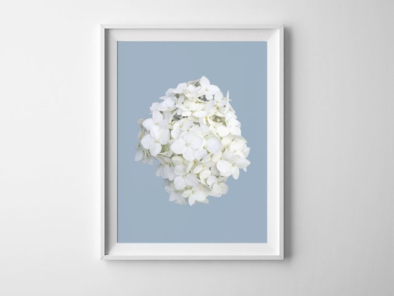 INSPIRATIONAL MODERN BOTANICAL ART BLUE HYDRANGEA FLOWER A4 POSTER PRINT GIFT