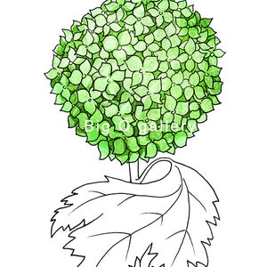 Green Hydrangea Printable Wall Art Watercolor Flower Minimalist Modern ...