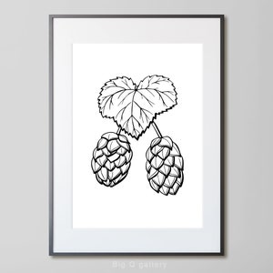 Botaniczna, drukowana sztuka ścienna Roślina chmielu Czarno-biała grafika Rysunek natury chmielu Wydruk cyfrowy do pobrania natychmiast
