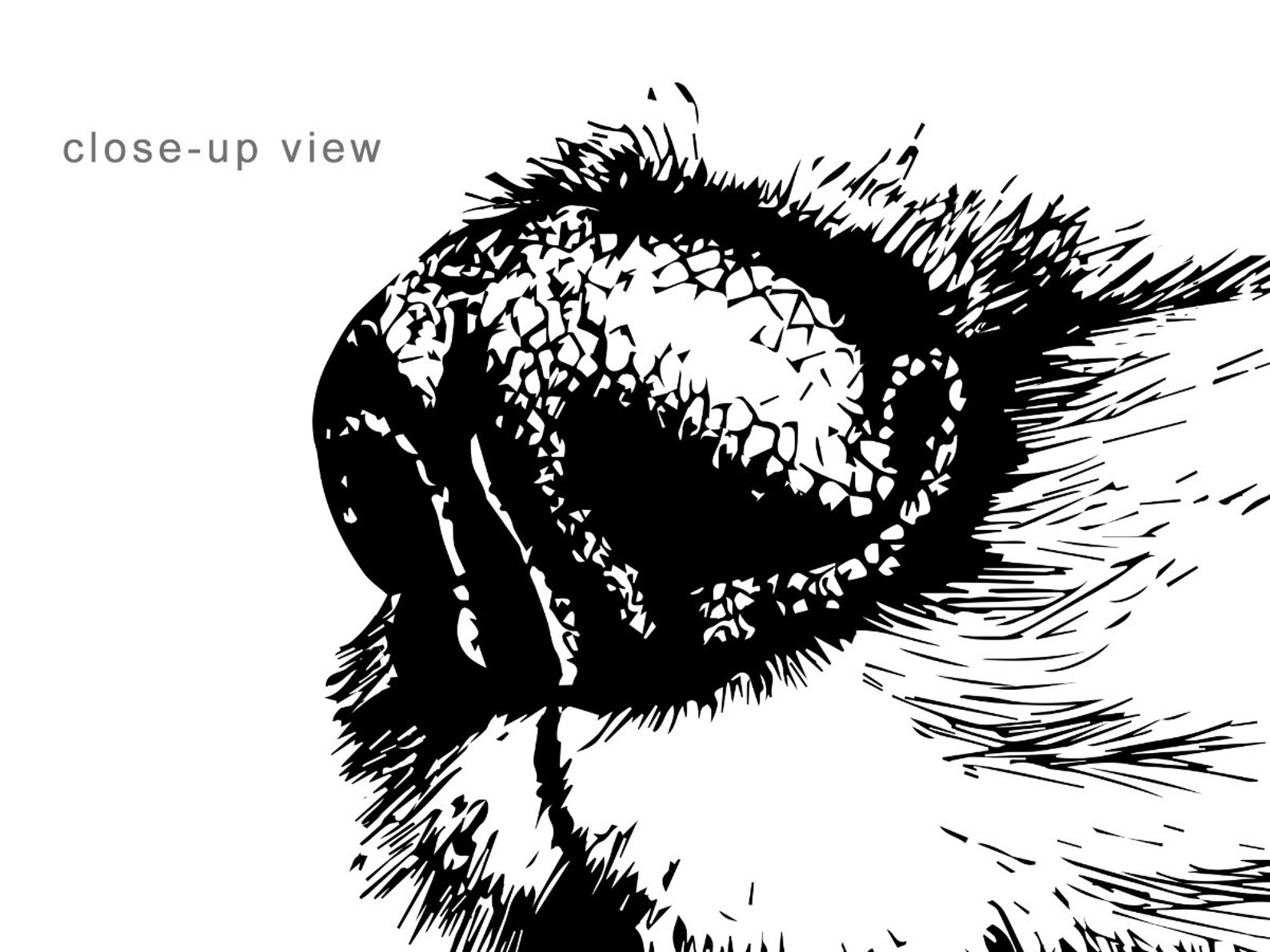 Dog Nose Printable Wall Art Black and White Dog Sketch Print Drawn Dogs ...