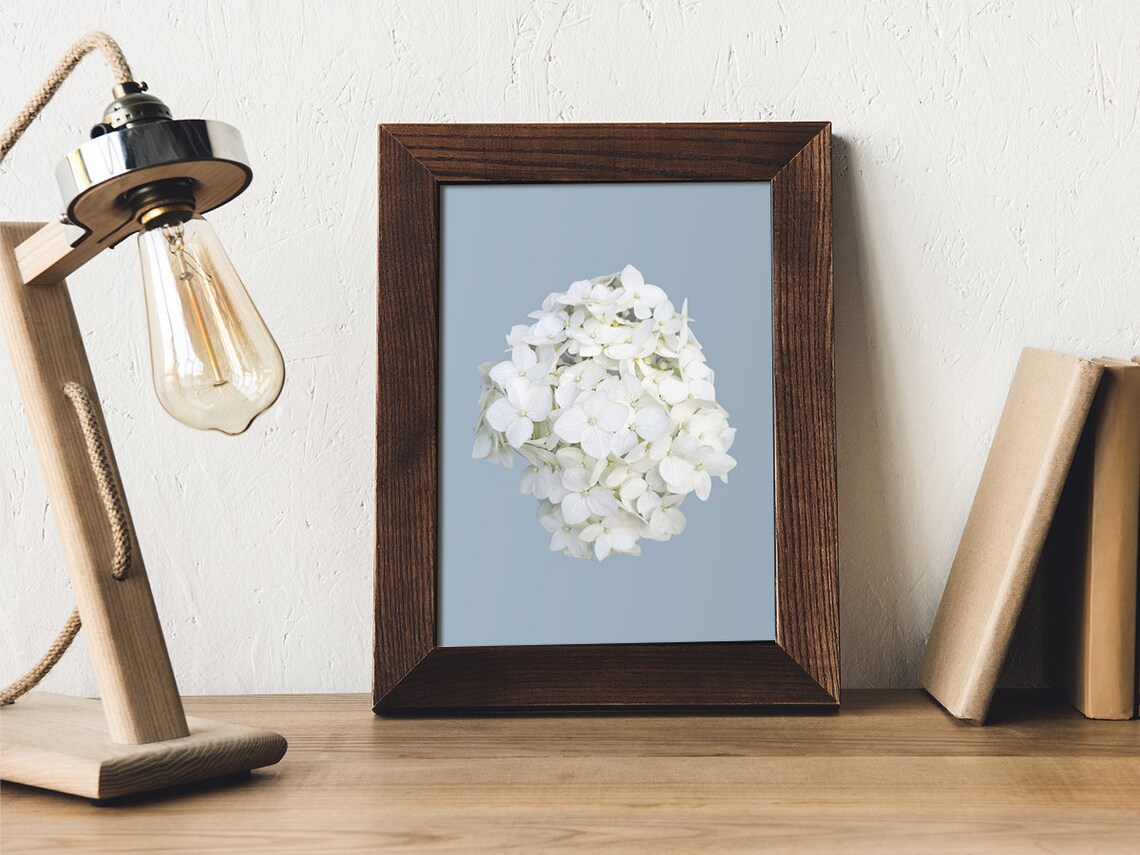 White Hydrangea Printable Wall Art Flower on Blue Art Photography