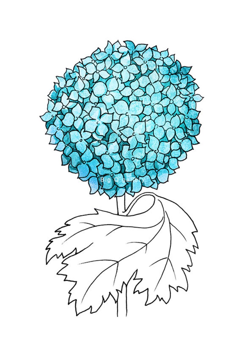 Blue Hydrangea Printable Wall Art Botanical Watercolor Flower - Etsy