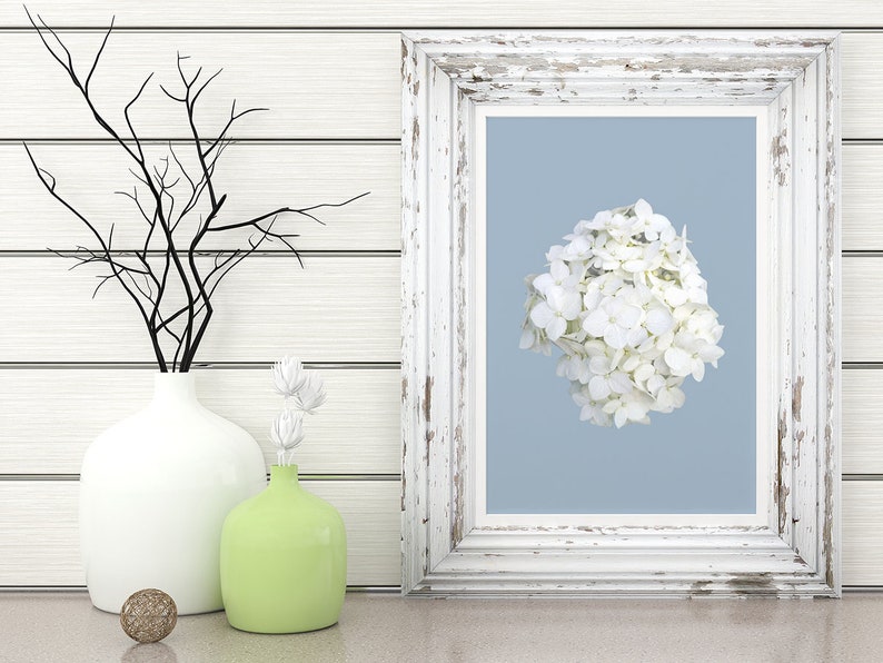 White Hydrangea Printable Wall Art Flower on Blue Art Photography