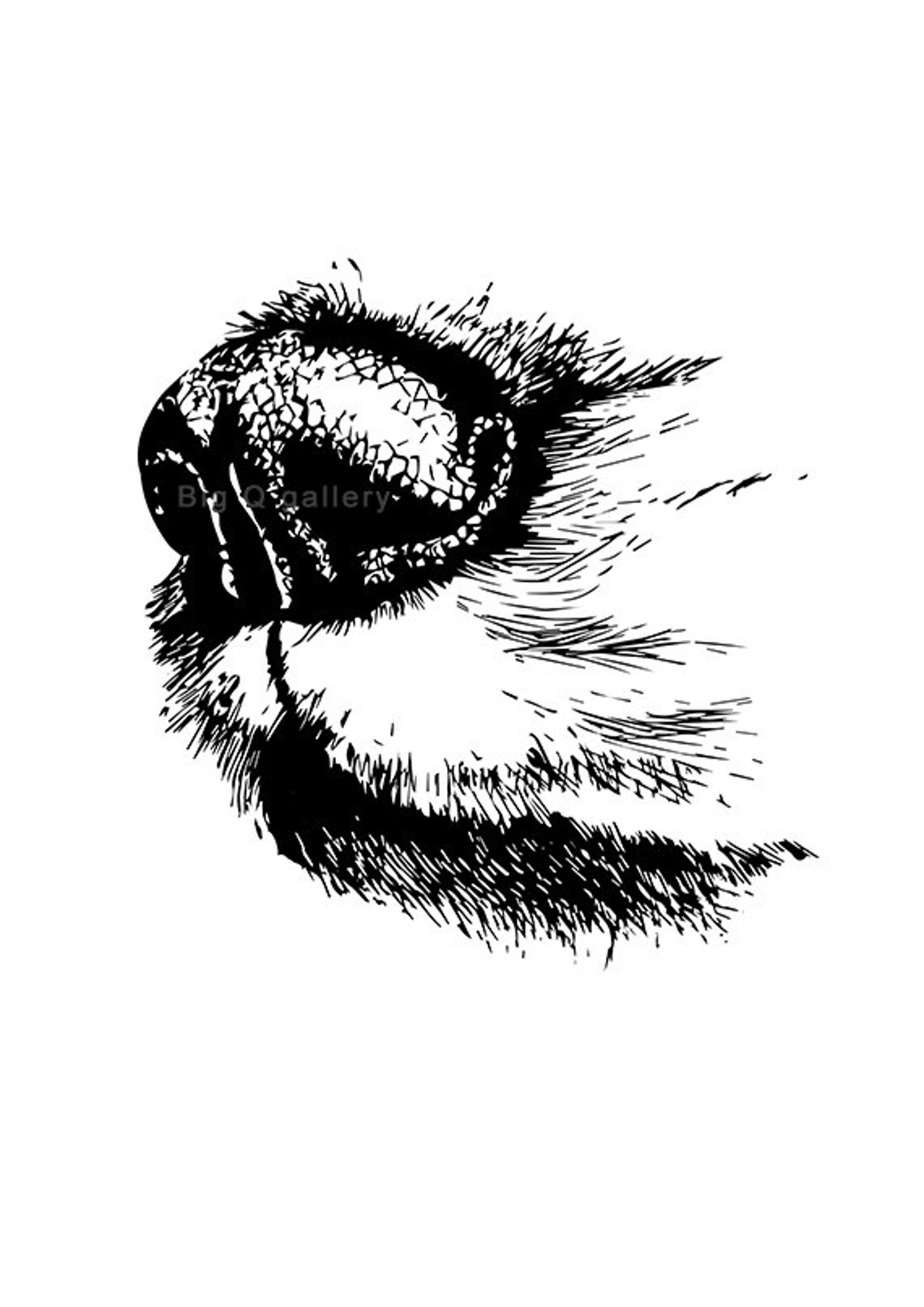 Dog Nose Printable Wall Art Black and White Dog Sketch Print Drawn Dogs ...
