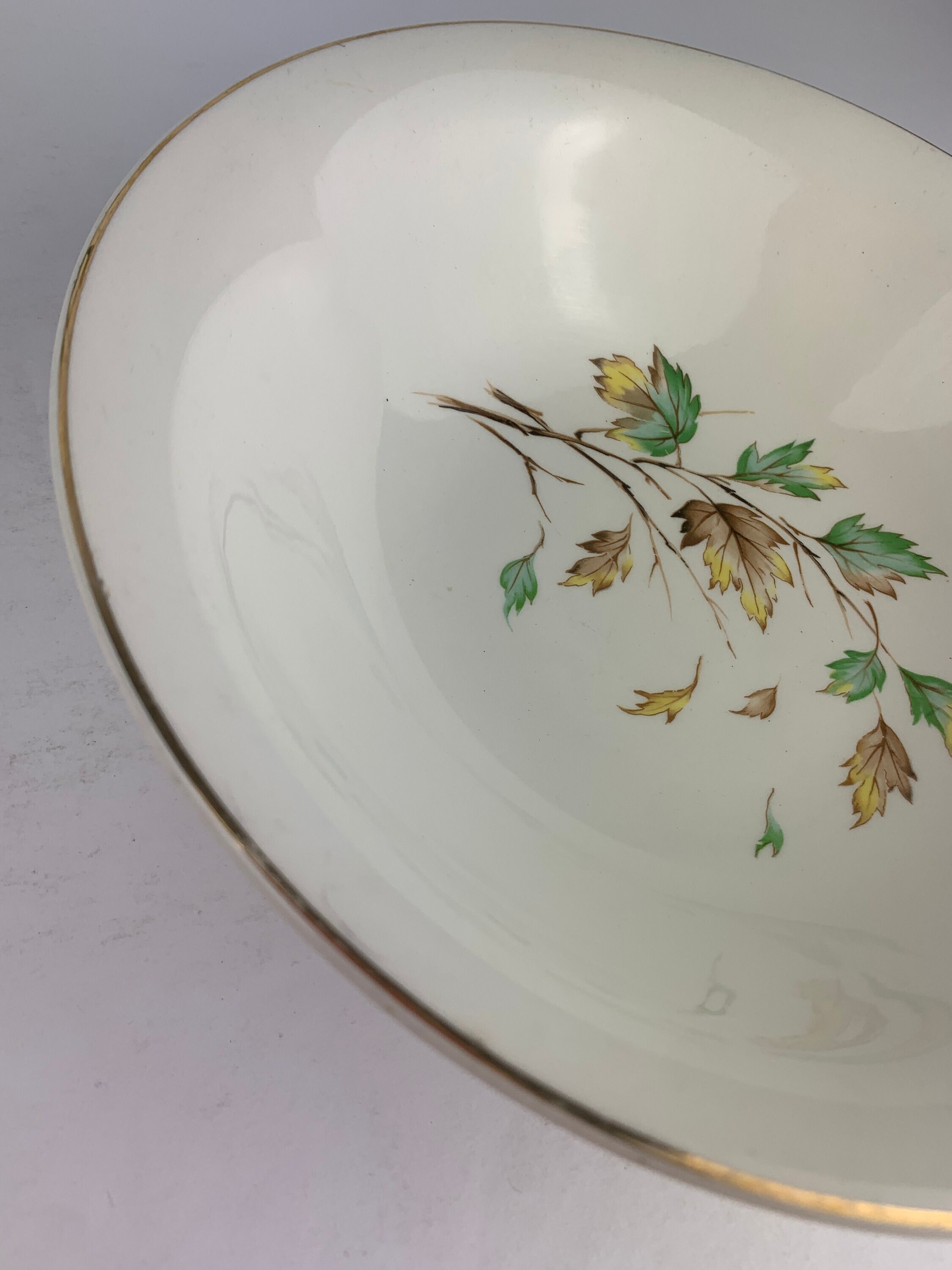 montrou シャンソン皿 MONTEREAU モントロー シャンソン グリザイユ皿 平皿 φ21.5cm
