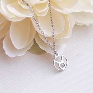 Naszyjnik z zawieszką ze znakiem zodiaku Byk/ Naszyjnik ze stali nierdzewnej ze znakiem zodiaku/ Biżuteria spersonalizowana/ Naszyjnik z zawieszką ze znakiem zodiaku Byk/ Biżuteria na co dzień/ stz1