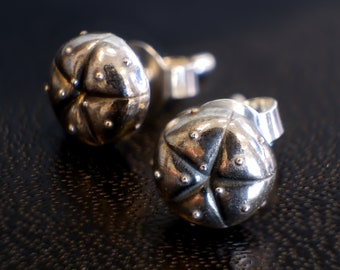 Peyote (Lophophora williamsii) earstuds