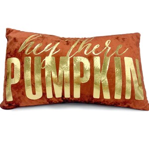 May include: A rust-colored velvet pillow with the words "Hey there Pumpkin" in gold lettering.