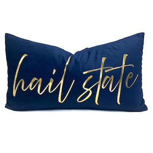 May include: A navy blue rectangular pillow with the words "hail state" in gold script. The pillow is made of a soft, velvety material. This decorative pillow is perfect for a dorm room or living room.