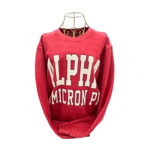 Puede incluir: Sudadera roja de manga larga con la palabra "ALPHA" y "MICRON P" impresas en letras blancas. La sudadera se muestra sobre una cabeza de maniqu&iacute; de alambre dorado. La tela tiene una textura acanalada.