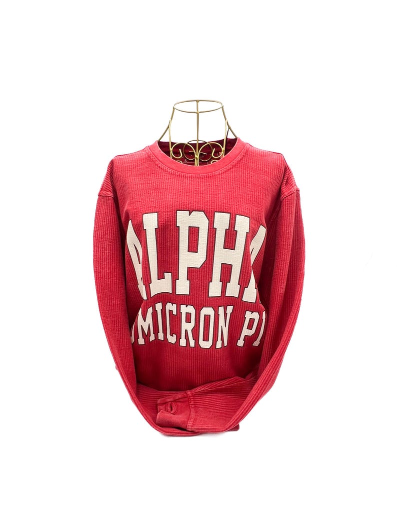 Puede incluir: Sudadera roja de manga larga con la palabra "ALPHA" y "MICRON P" impresas en letras blancas. La sudadera se muestra sobre una cabeza de maniqu&iacute; de alambre dorado. La tela tiene una textura acanalada.