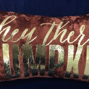 May include: A brown velvet pillow with the words "hey there pumpkin" in gold foil lettering.