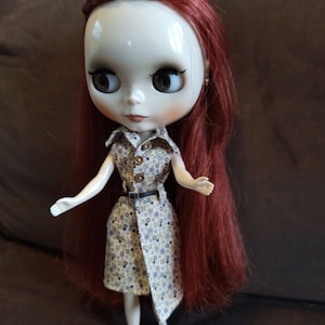 Darling shirt dress for Blythe