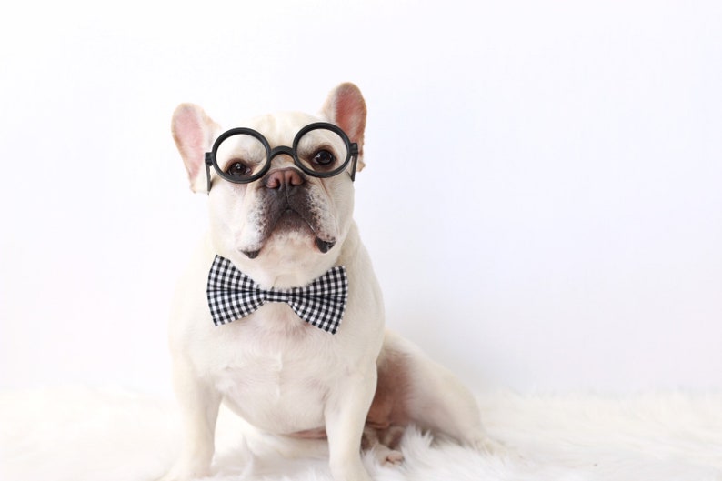 Green Signature Plaid Dog Bow Tie Cat Bow Tie Pet Bow Tie
