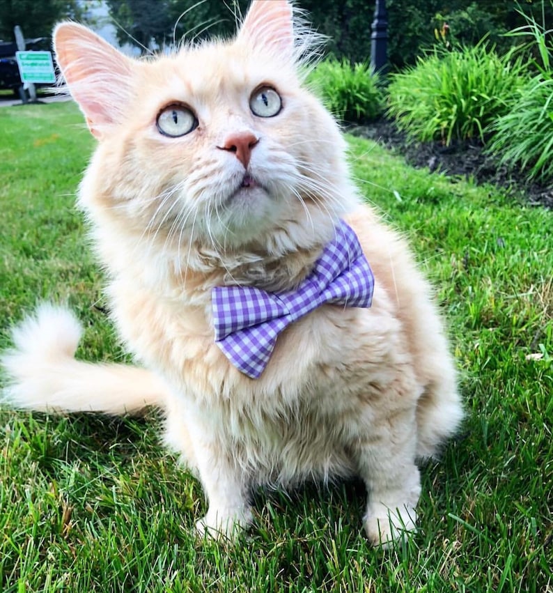 Green Signature Plaid Dog Bow Tie Cat Bow Tie Pet Bow Tie