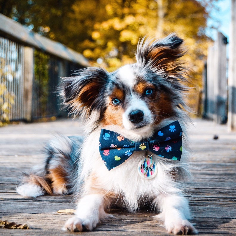 Green Signature Plaid Dog Bow Tie Cat Bow Tie Pet Bow Tie