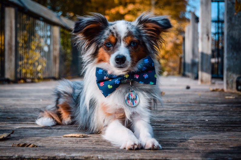 Pet Clothing Accessories Shoes Happy Haunting Halloween Dog Bow Tie Dog Bow Tie Cat Bow Tie Pet Bow Tie Pet Supplies