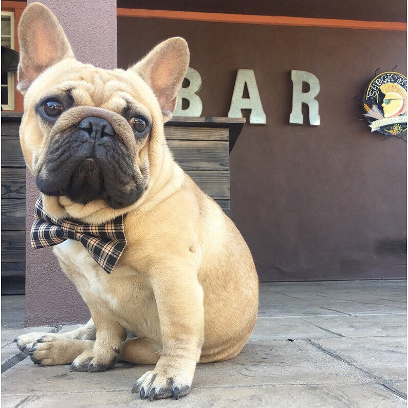 Green Signature Plaid Dog Bow Tie Cat Bow Tie Pet Bow Tie