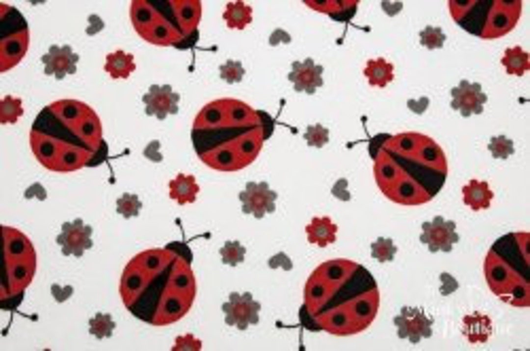 Weighted Blanket, Lady Bugs Minky, Minky Back, Glass Beads, Anxiety Relief, Melatonin, Serotonin