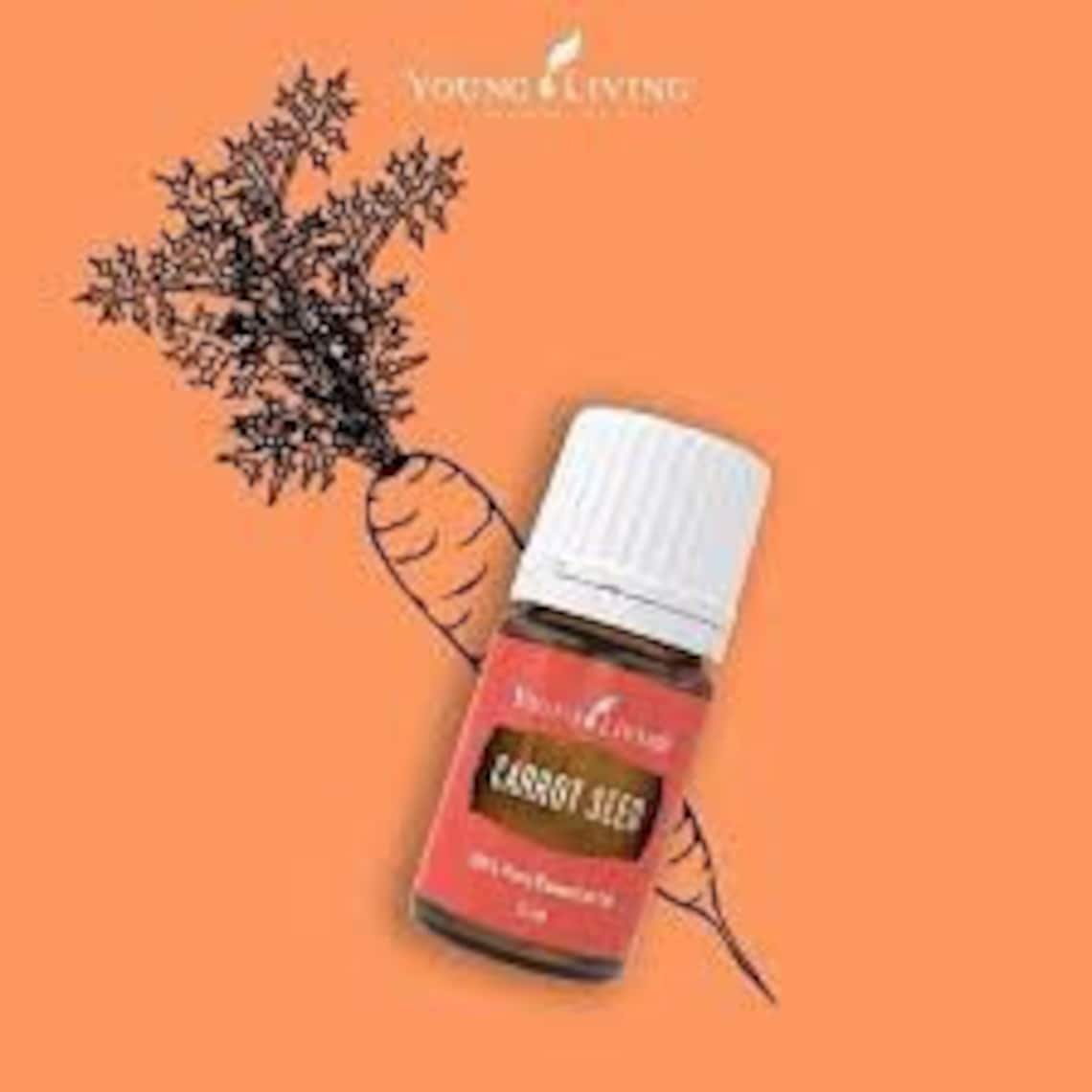 Carrot Seed essential oil young living Carrot seed pure Etsy