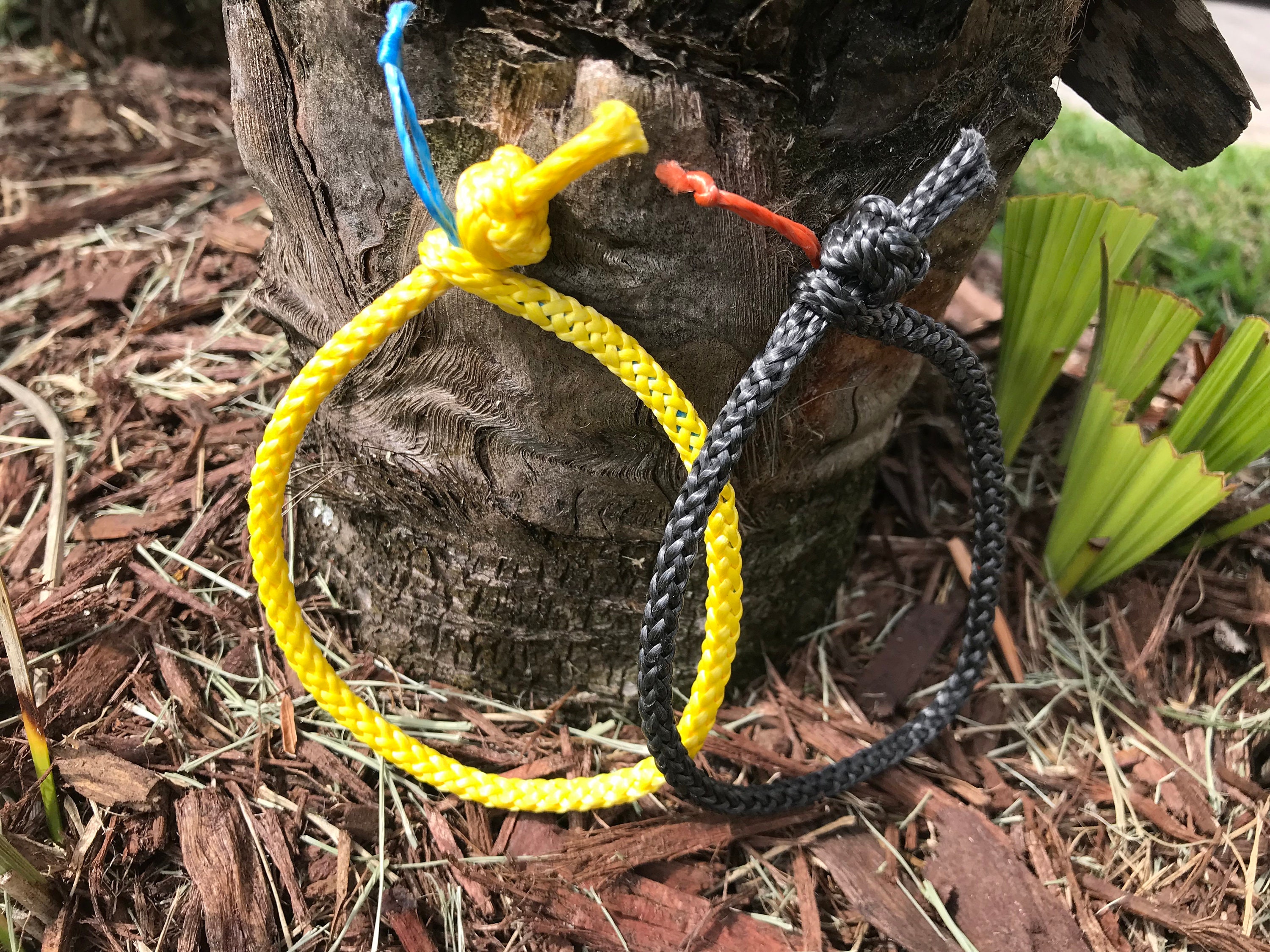 Hammock Suspension Bundle whoopie Slings Continuous Loops Etsy