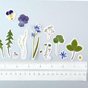 14 autocollants botaniques naturels avec Hortensia, fleurs séchées, vraies herbes. Décalcomanies herbier pour scrapbooking, plantes pour ordinateur portable